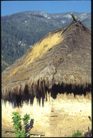 todos santos-03.jpg